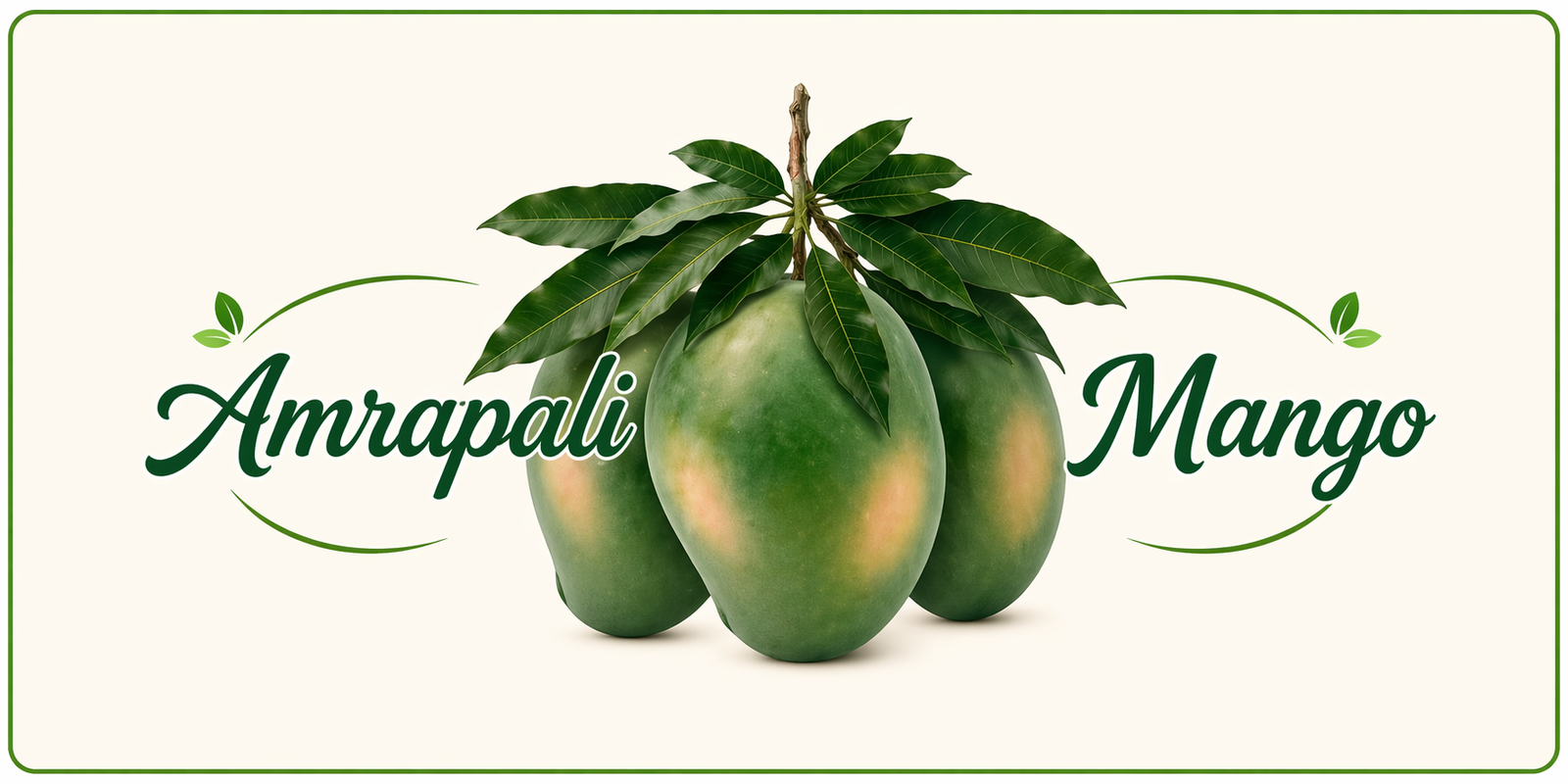 Amrapali Mango